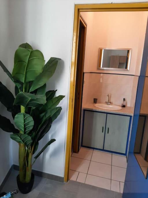 Confortable En Hyper Centre Parking Gratuit Dans La Rue Acces Avec Boite A Clee Apartamento Castres  Exterior foto